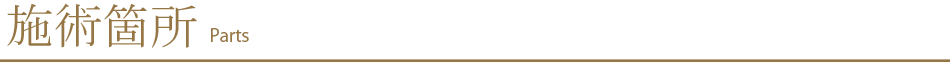 施術箇所